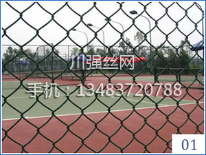 �w����(ch��ng)�o(h��)�ھW(w��ng)