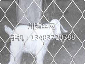 �B(y��ng)ֳ�o�ھW(w��ng)